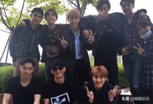 51今日吃瓜热门大瓜视频,揭秘热门大瓜视频背后的惊人真相